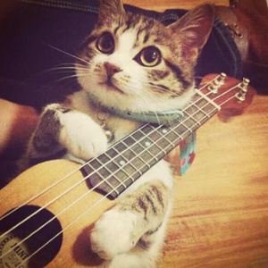 老人日屄黄色片
